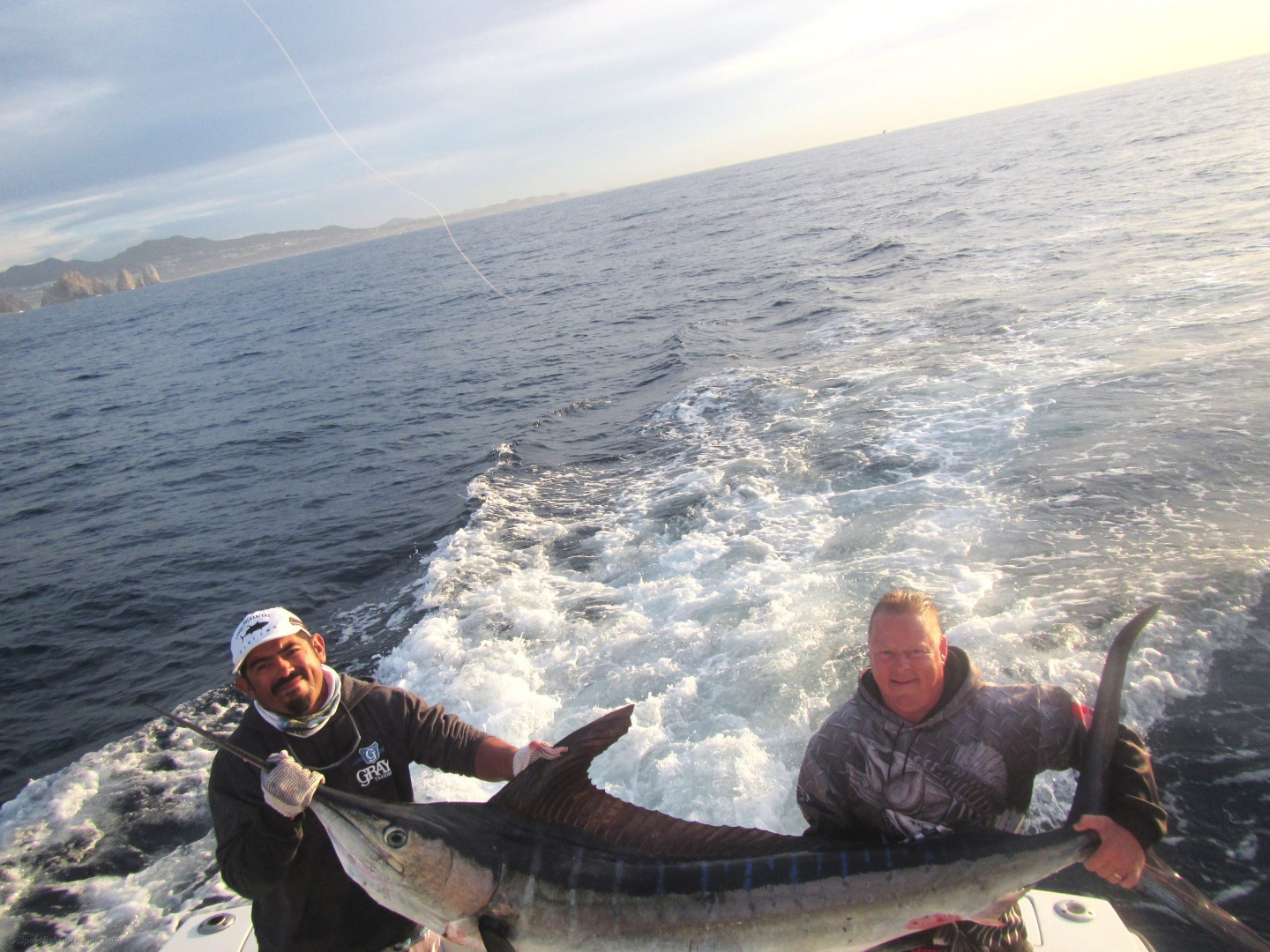 150 lb. Striped Marlin