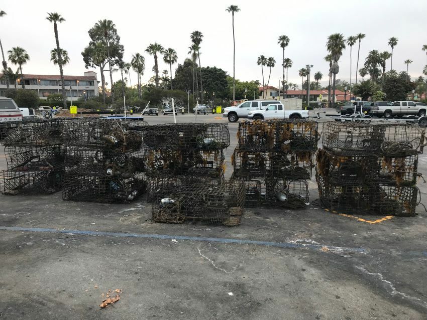 Santa Barbara Commercial Lobster Fisherman Convicted for Abandoning Traps cover picture