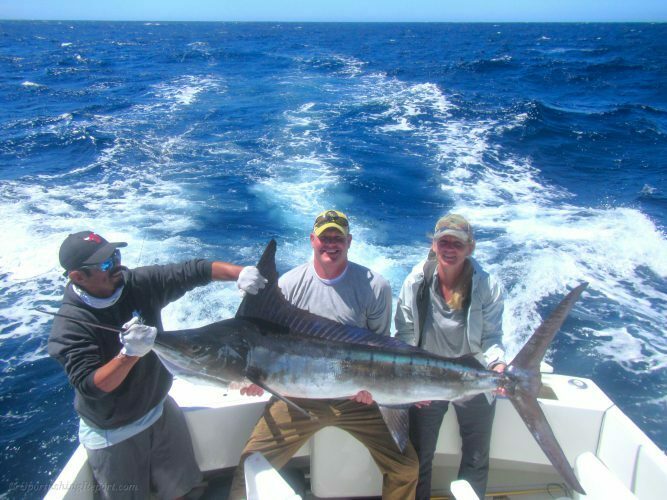 160 lb. Striped Marlin