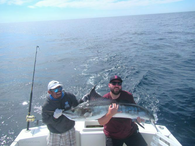 140 lb. Striped Marlin