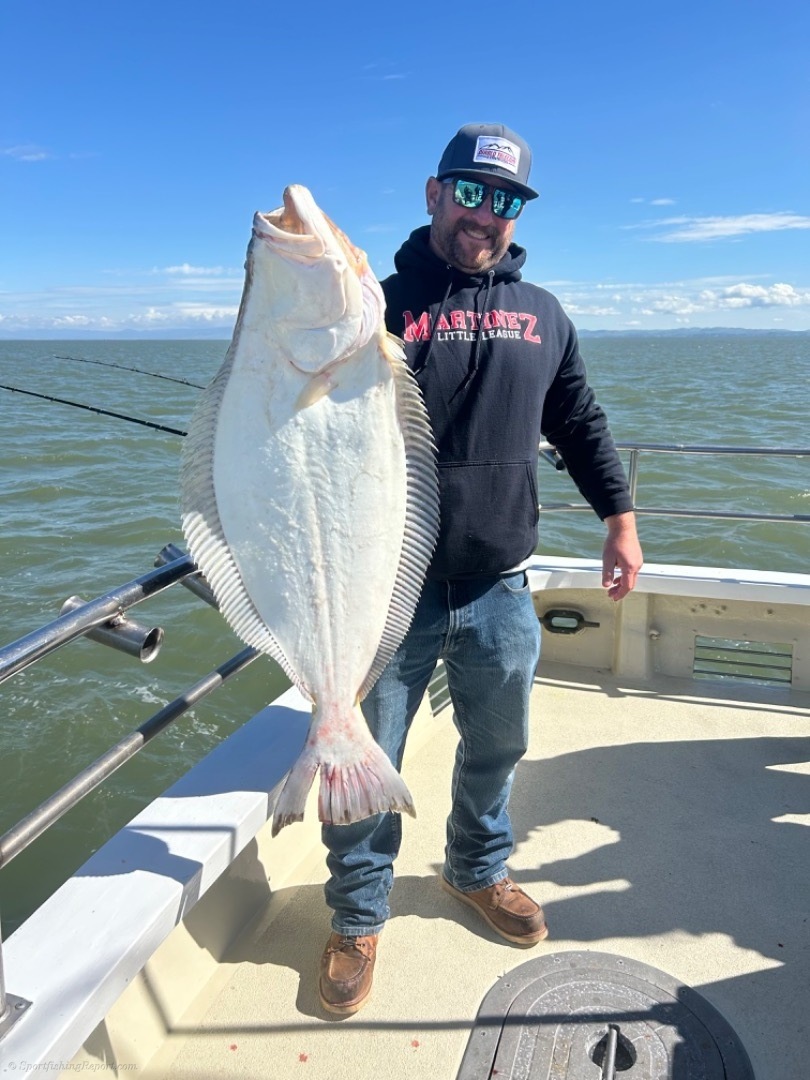 Halibut and Striped bass opener! Limits of bass!