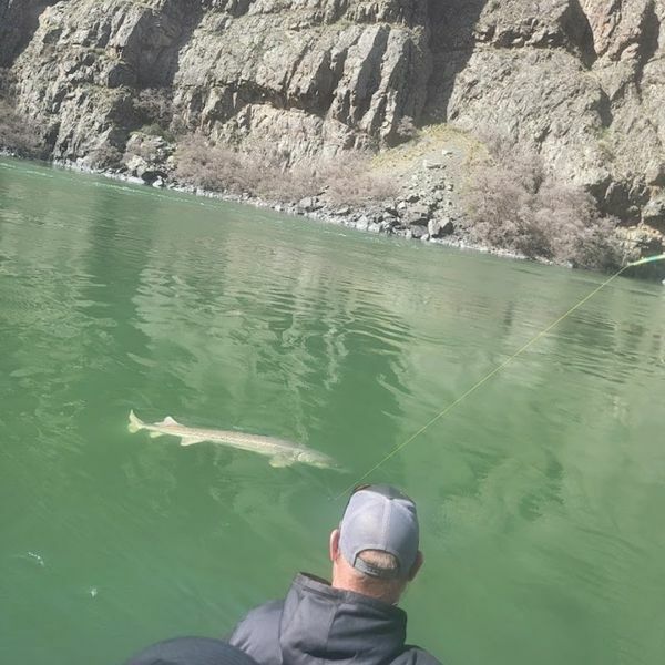 The Sturgeon bite is on and bass and trout are picking up!