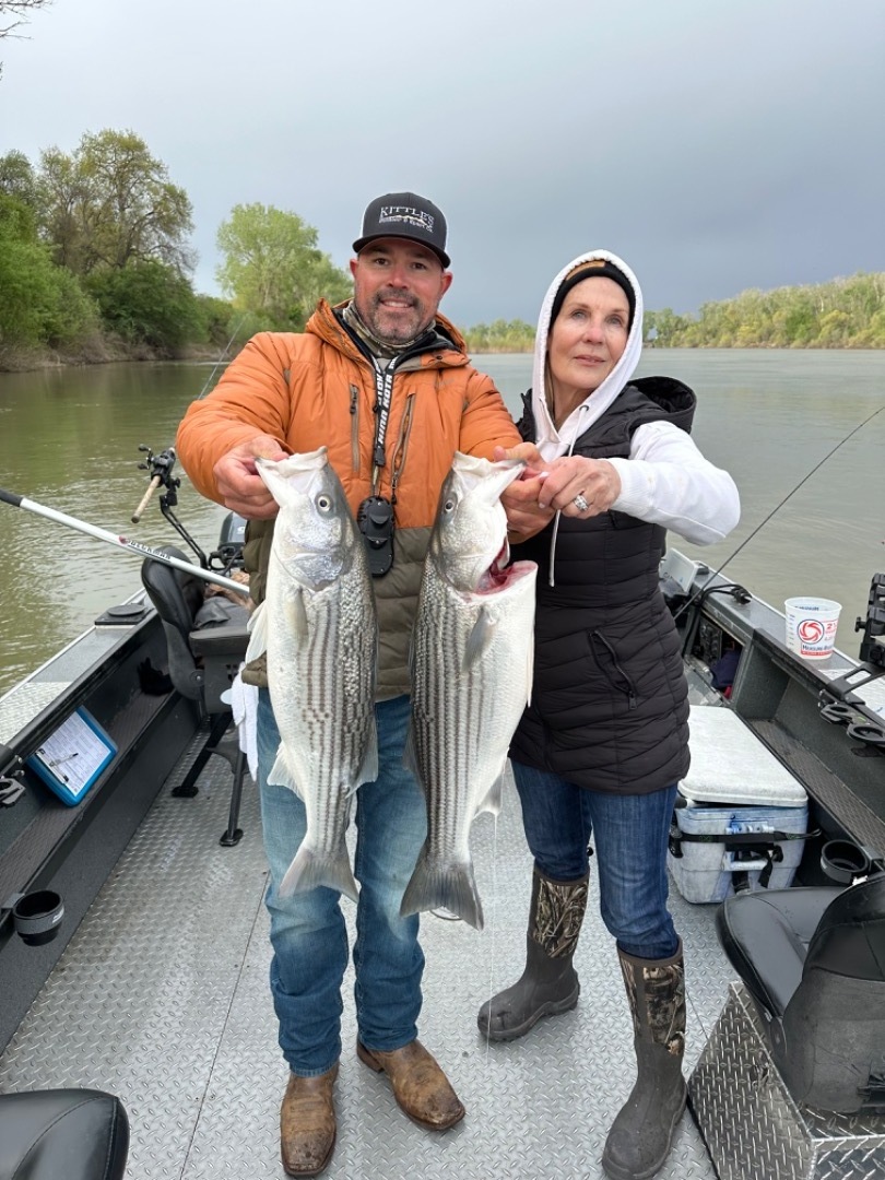 Sacramento River striped bass fishing 🔥