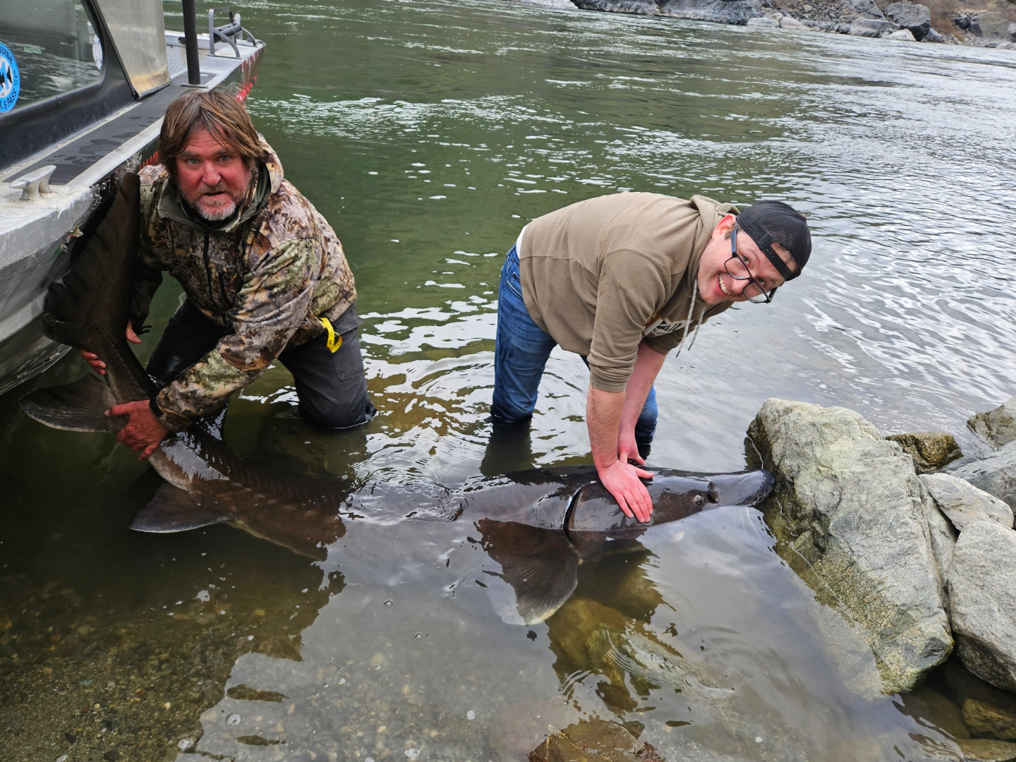 The Sturgeon bite is on! 