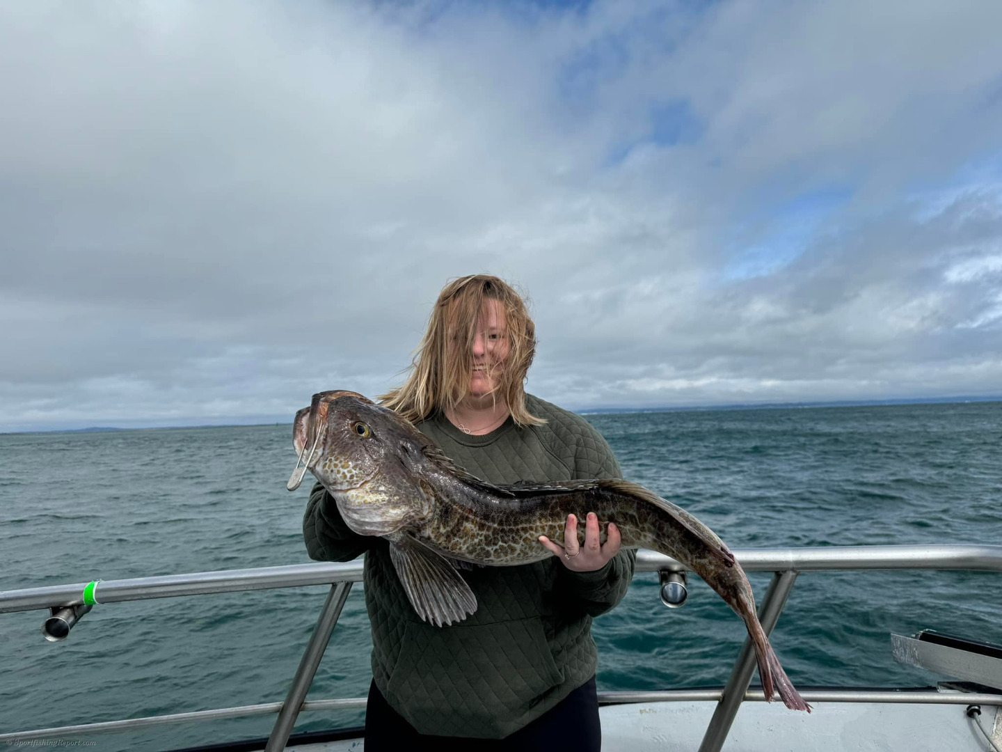12 fishing caught limits of yellowtail, rockfish and limits of lingcod