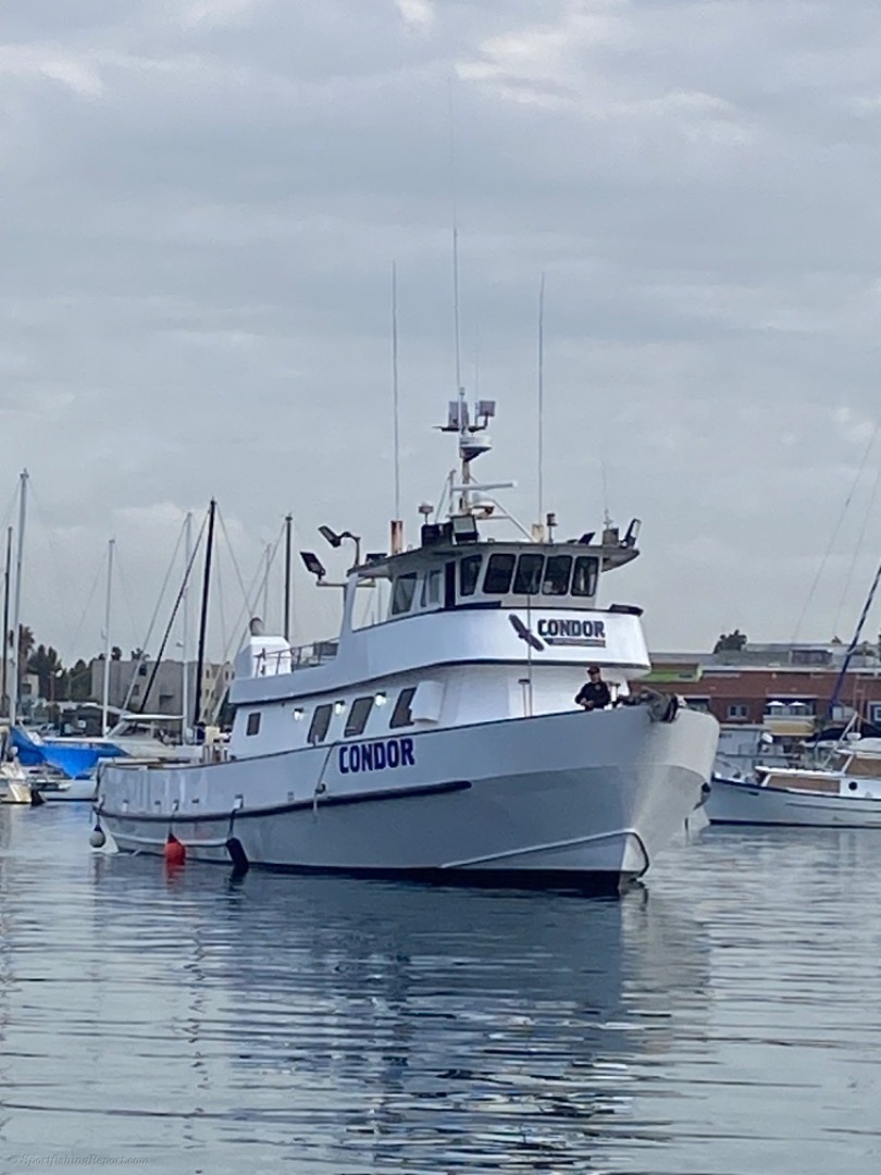 Fisherman's Landing: San Diego, CA Fishing Charters