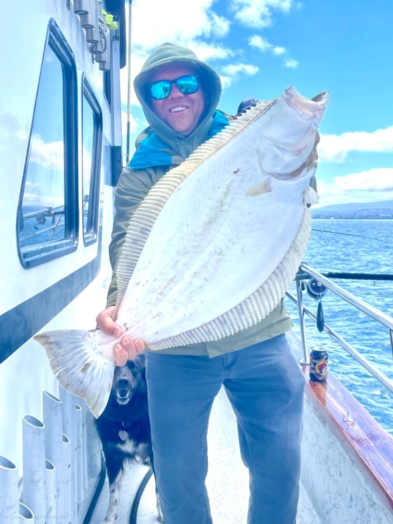Late riser halibut and bass trolling 