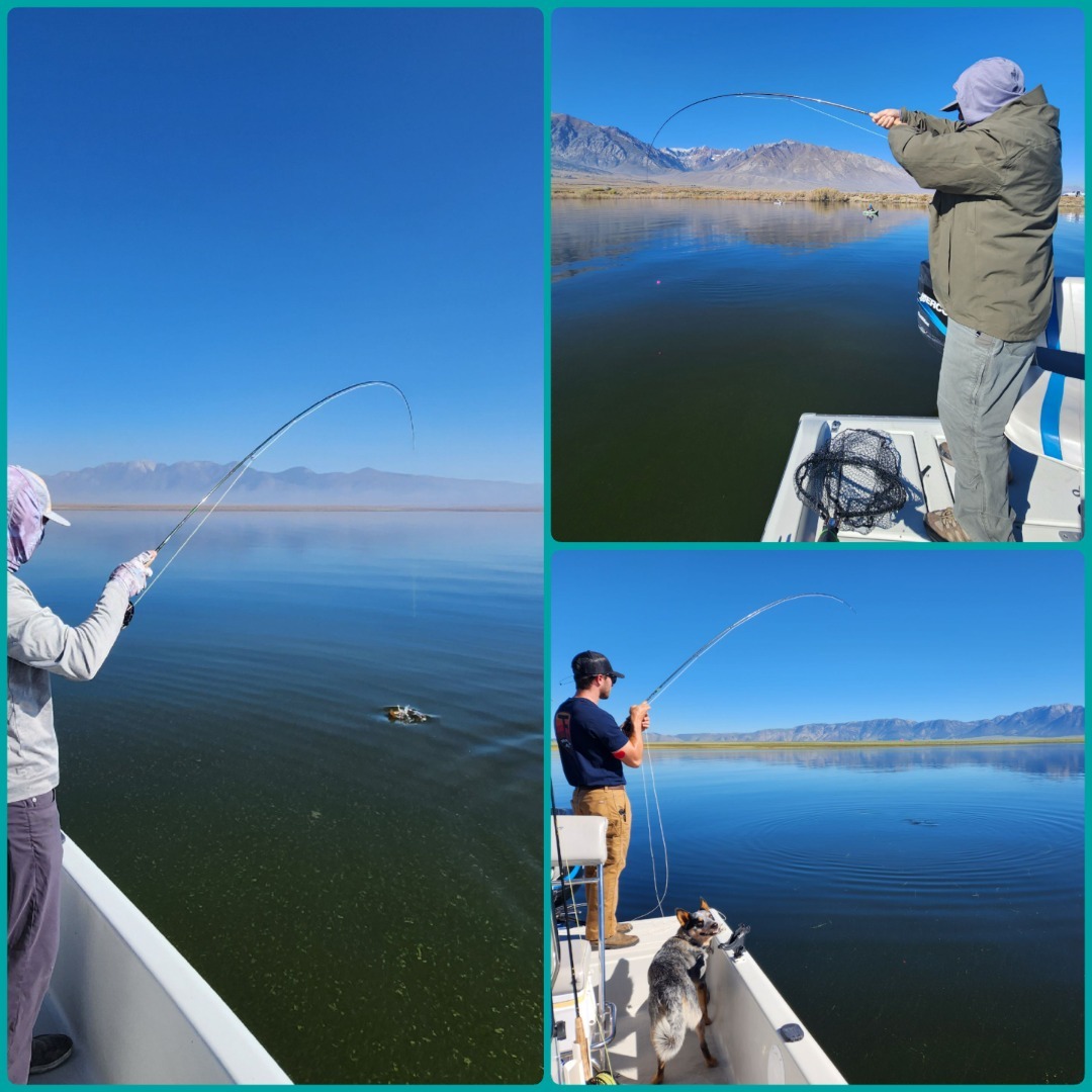 Parker Lake Fishing  Dave's Sierra Fishing