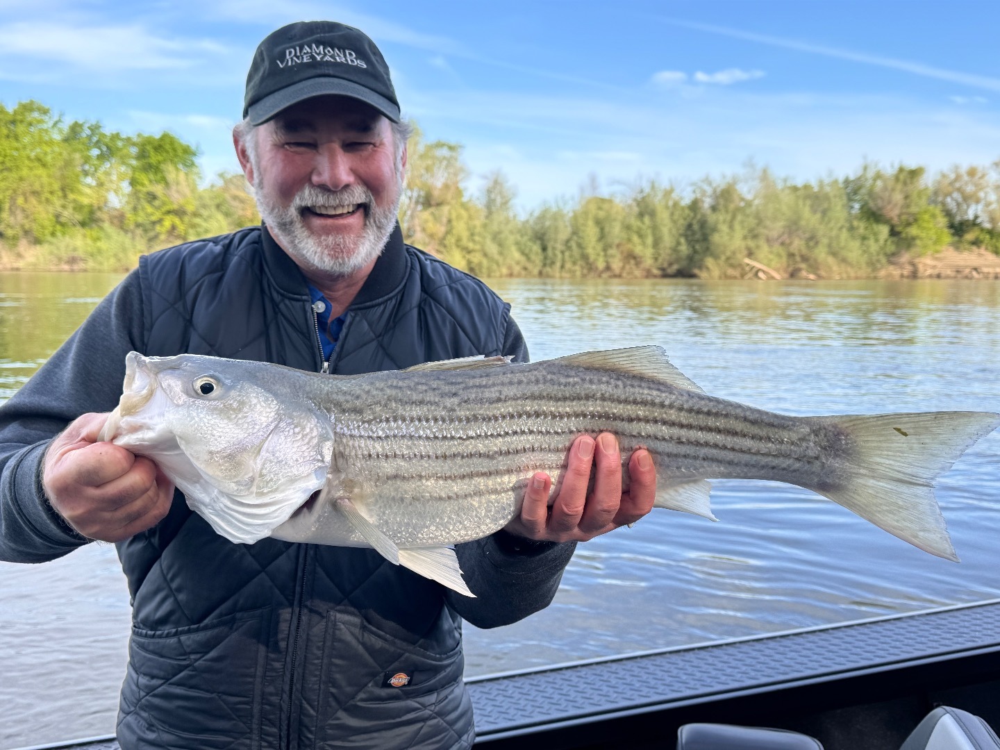 Sac River Striped Bass Action!