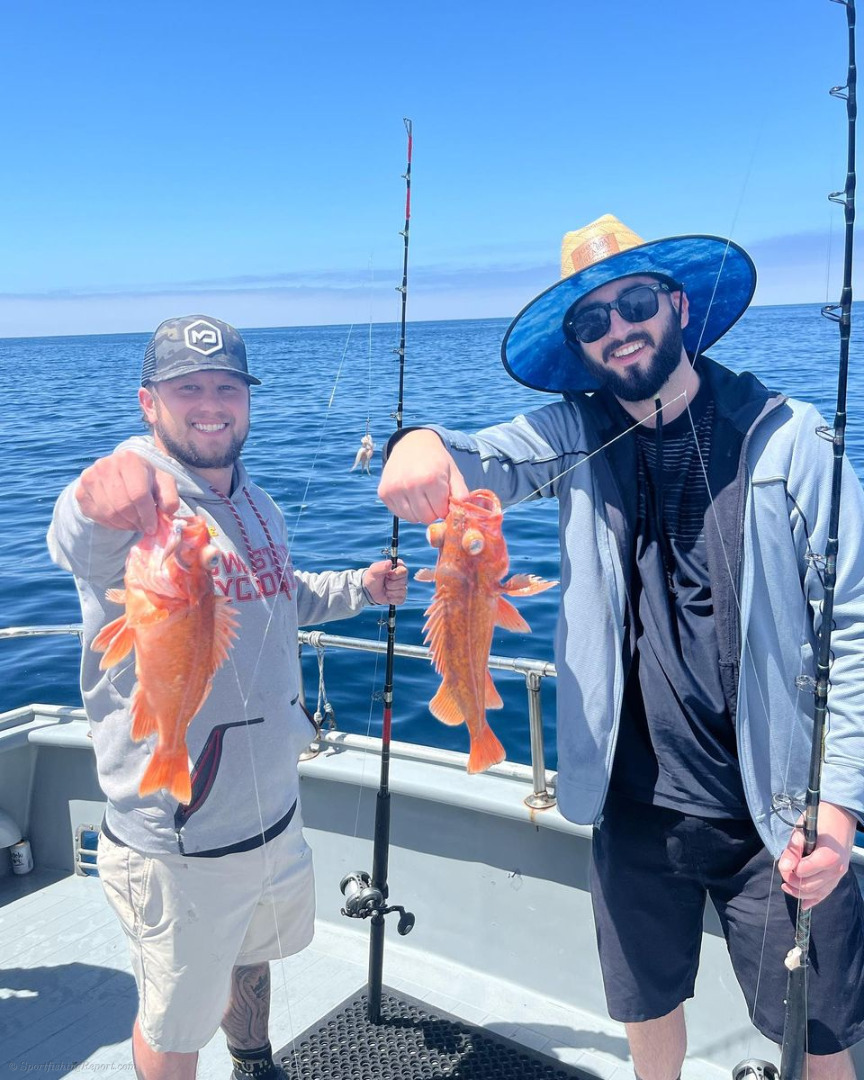 Full day charter fished Catalina Island