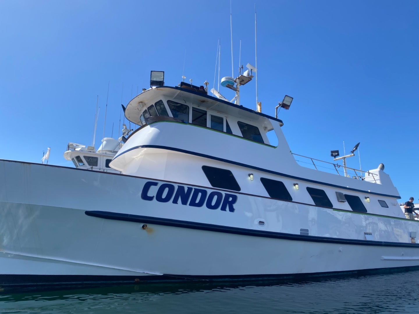 Condor Good Bluefin Action Check-In, Scott is Live! Live Audio 
