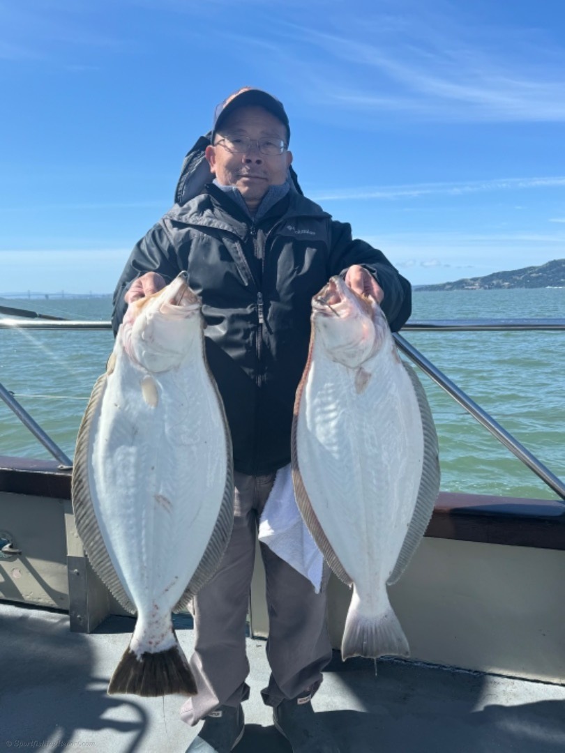 EARLY LIMITS OF HALIBUT!!!!