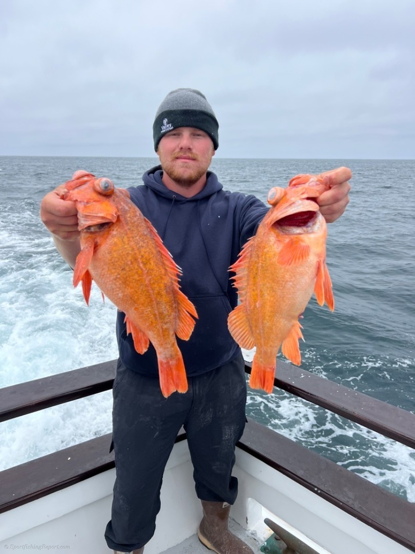 Eldorado Sportfishing Fish Report