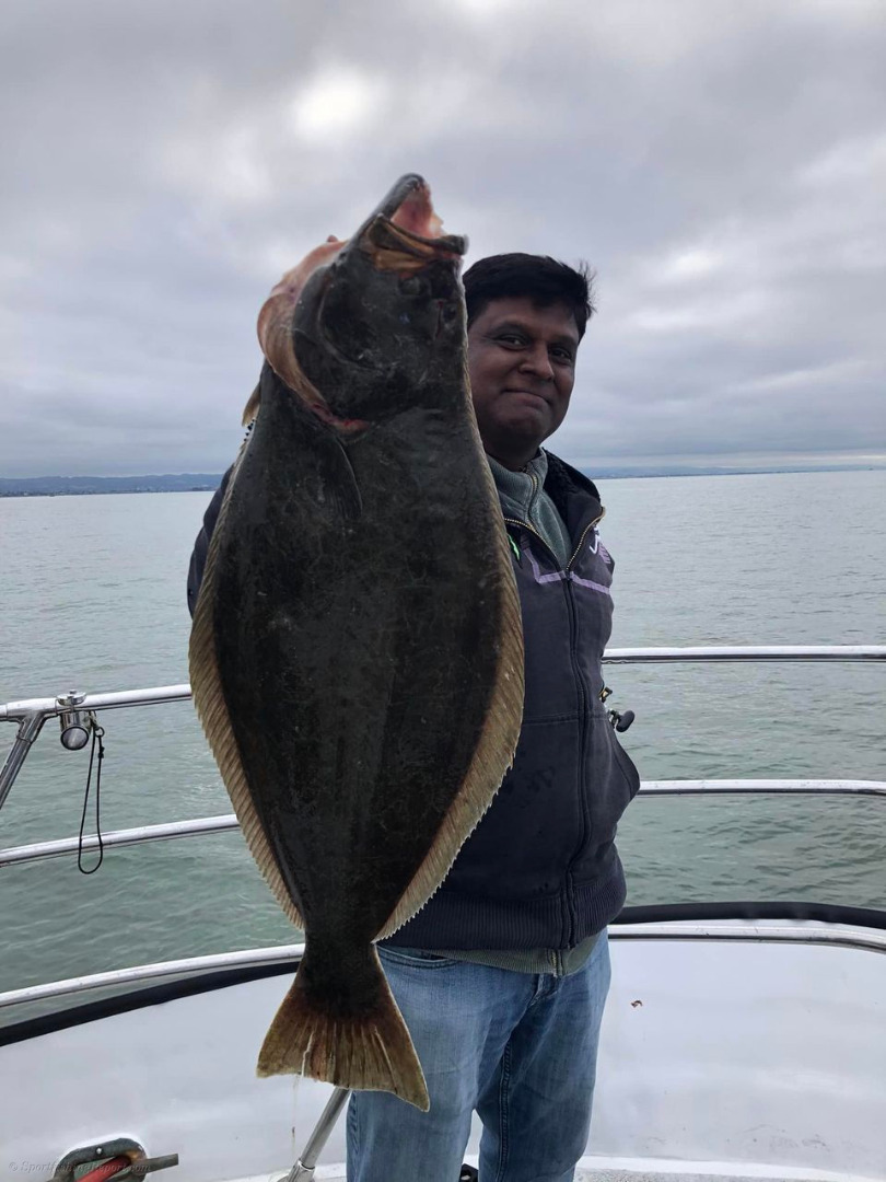 The halibut fishing has been outstanding 