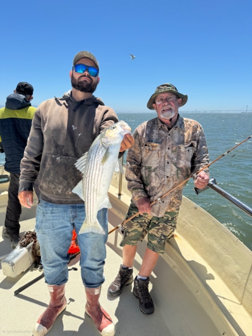 Limits of halibut and striped bass