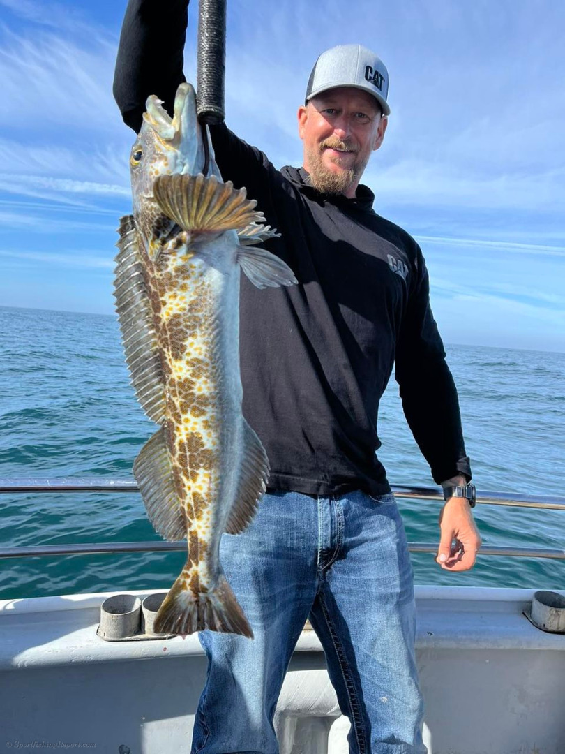 Sea Wolf Fish Report - Fish Report - Sea Wolf Fishing Report - June 18 ...