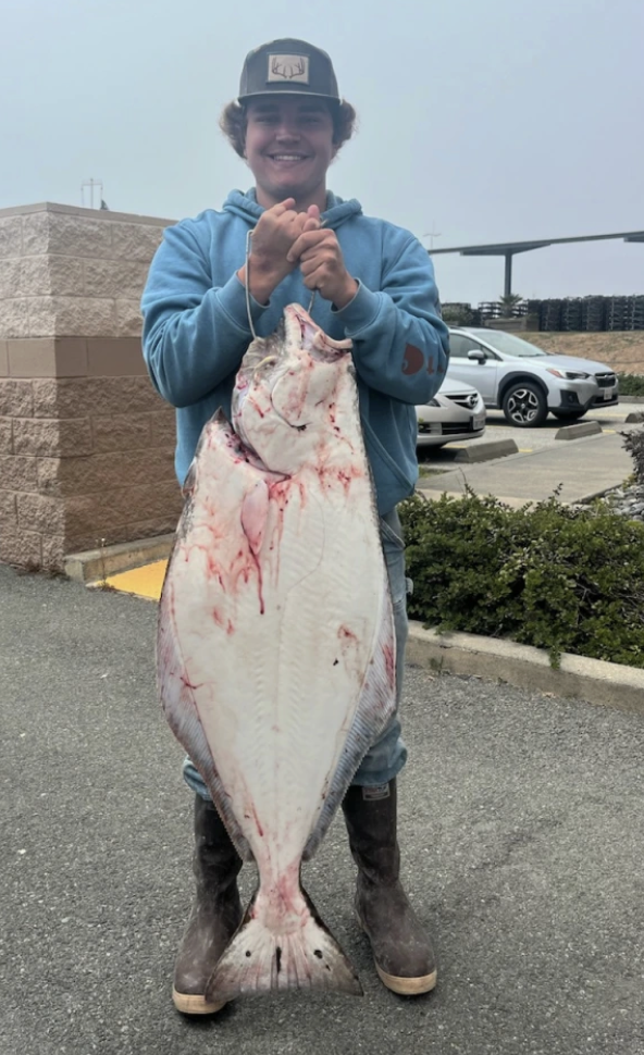 Pacific halibut bite remains slow off the coast cover picture