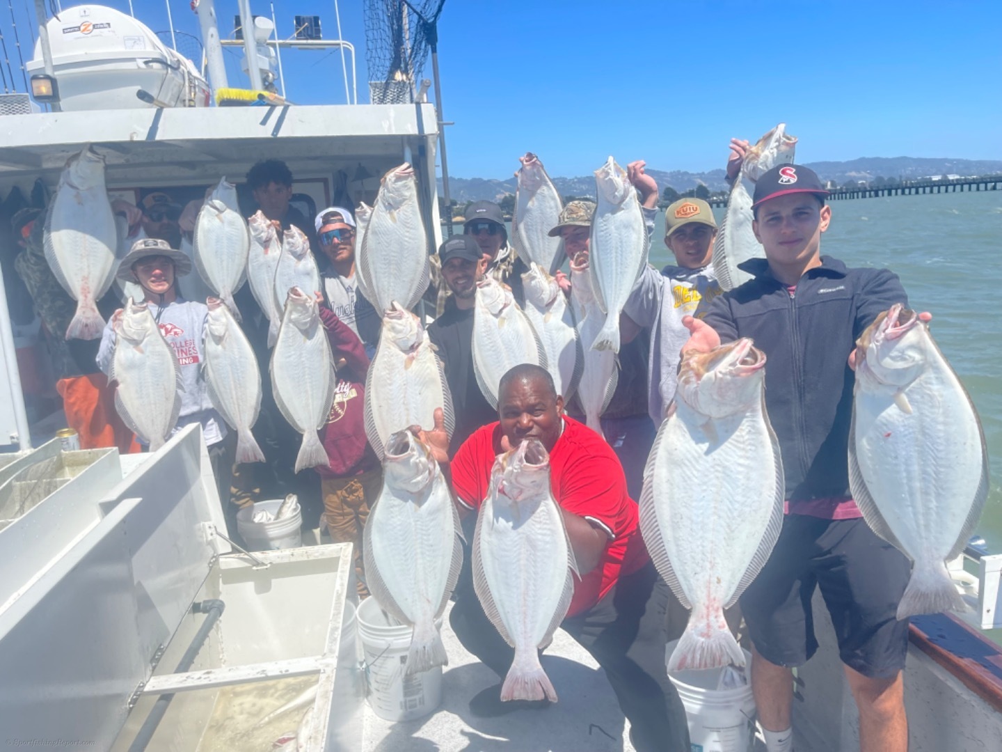 Halibut and bass