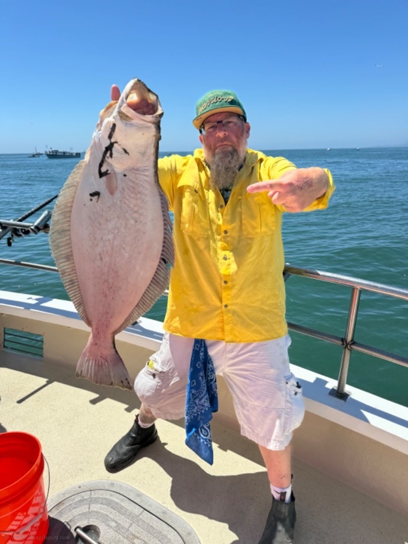 Big halibut today