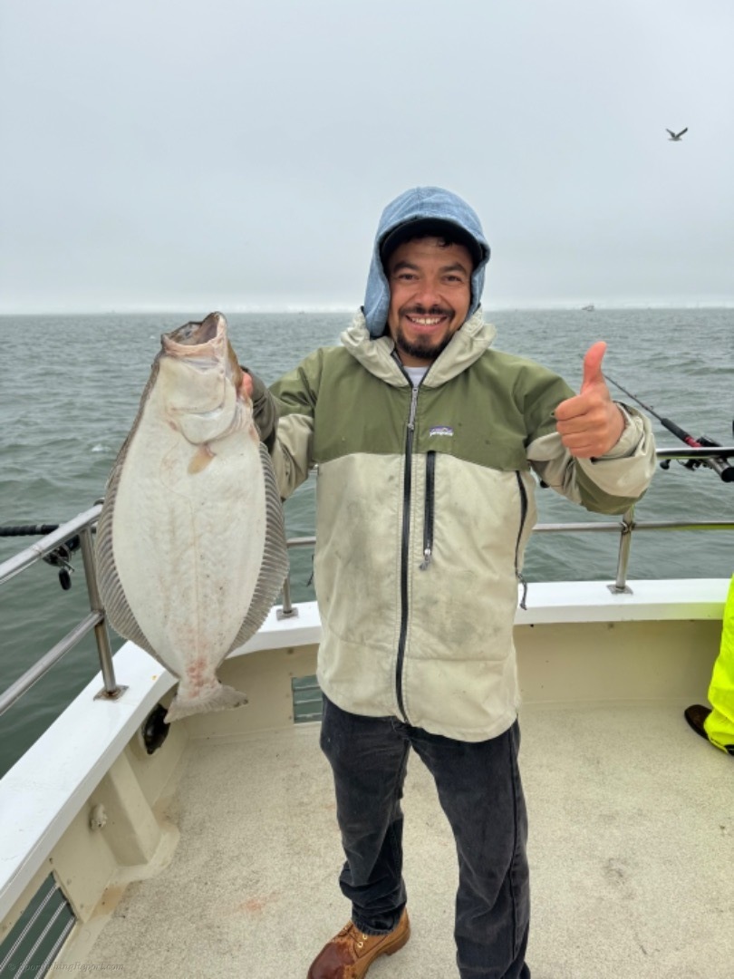 Limits of halibut and striped bass!