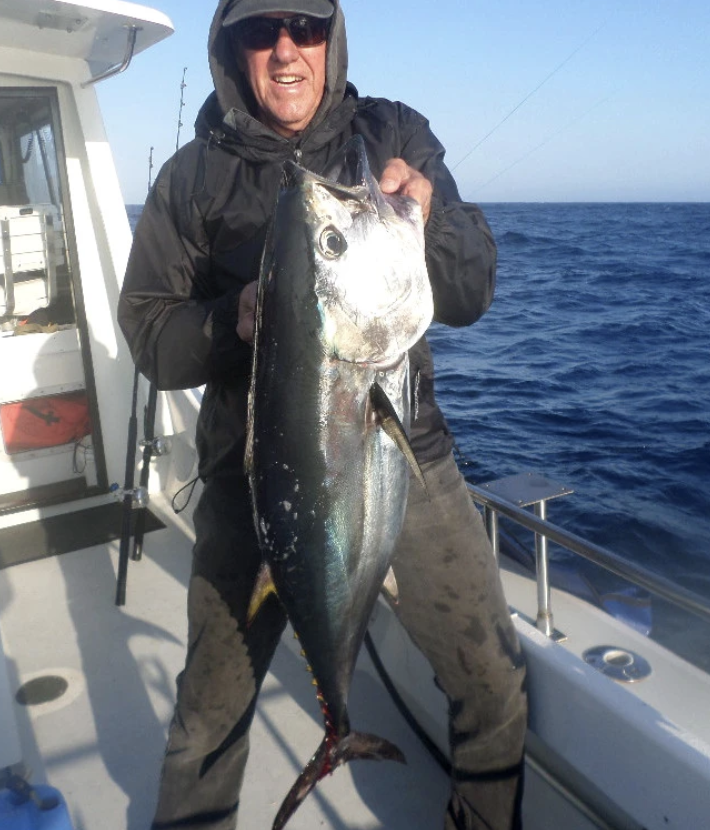 Tuna Fever Arrives on the North Coast cover picture
