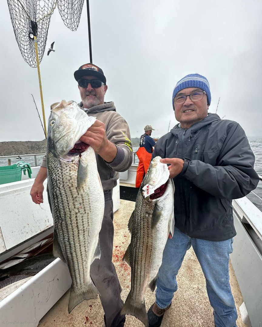 LIMITS of both Jumbo halibut and Jumbo striped bass 