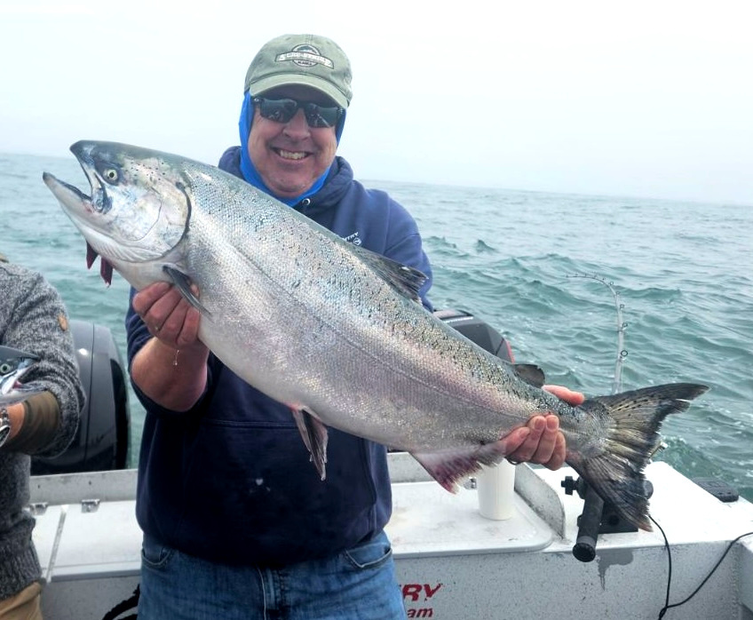 Bringing Oregon Salmon Back to CA – Here’s How cover picture
