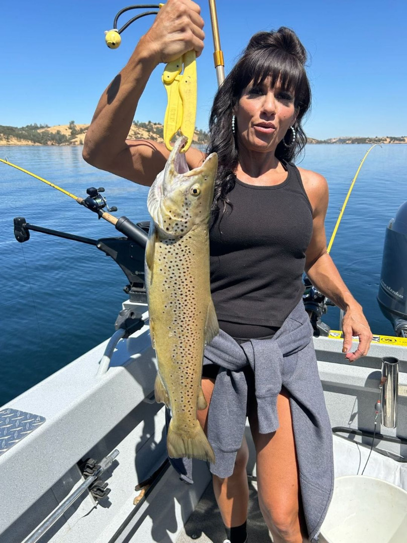 Pardee Reservoir Fish Report - Pardee Reservoir - Nice Brown Trout out ...