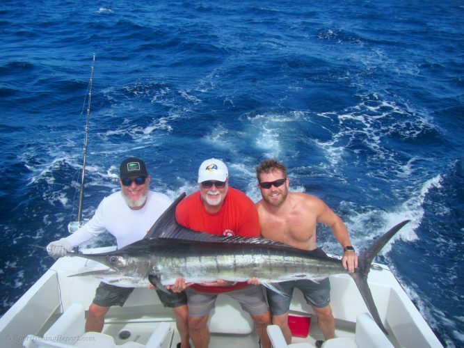Striped Marlin up to 140 lbs. 