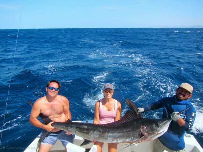 Two Striped Marlin between 120LB. and 170LB.