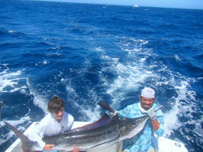 Two Striped Marlin between 120LB. and 150LB.
