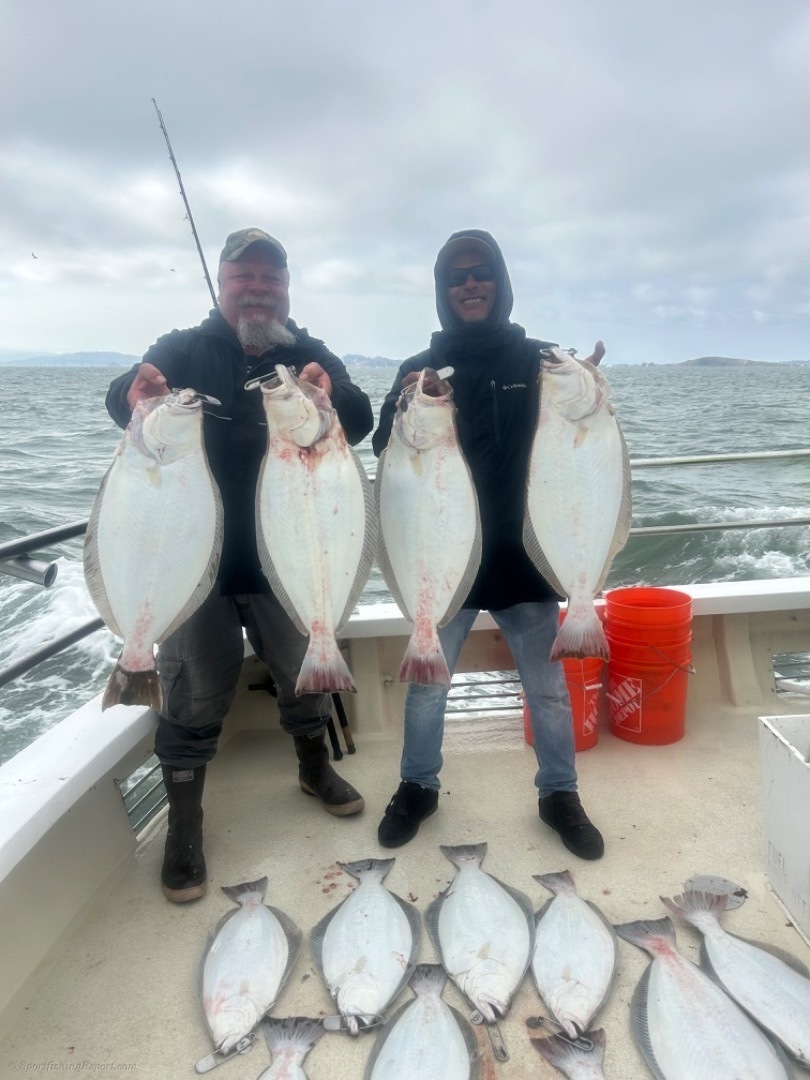 24 halibut