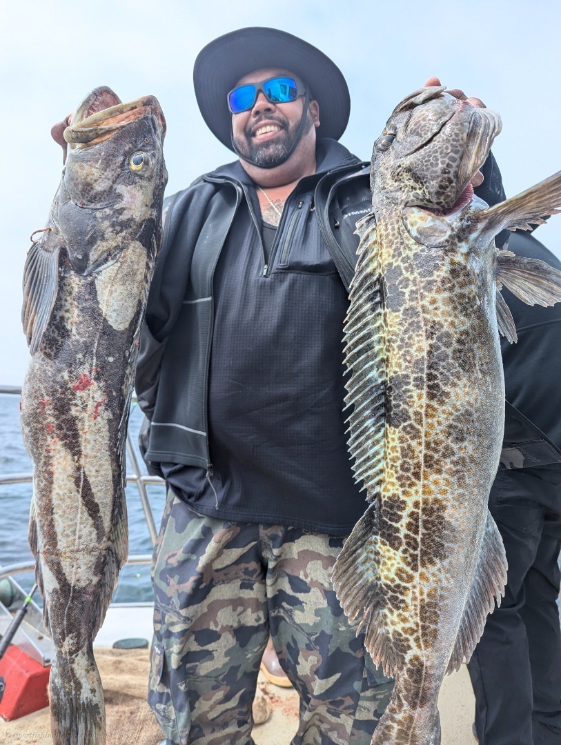 Great Rock Fishing 