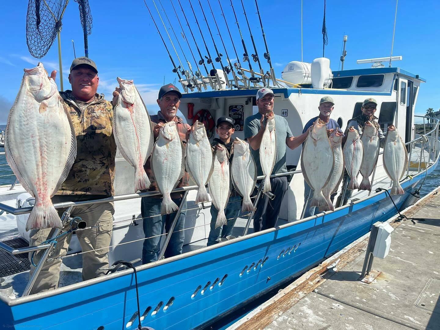 Halibut Limits