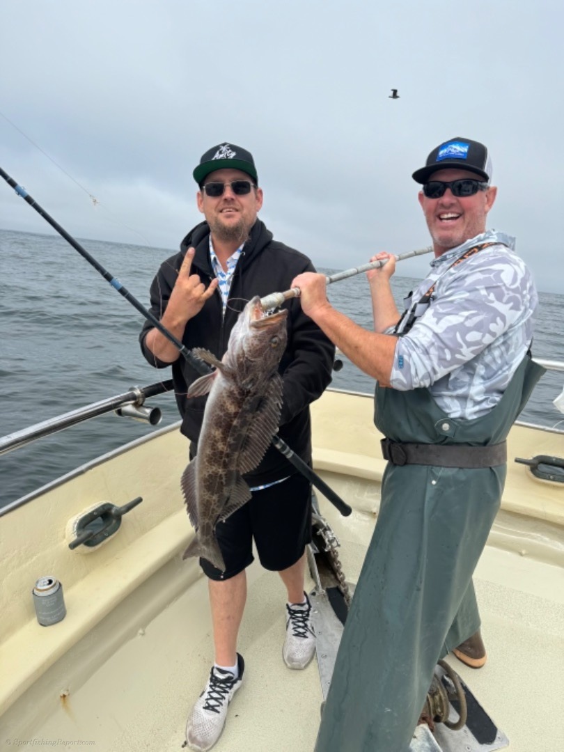 Coastal rockfish