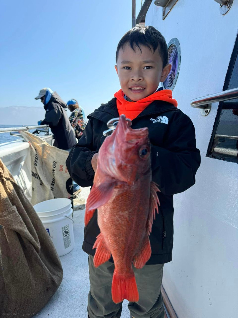 Coastal rockfishing trip