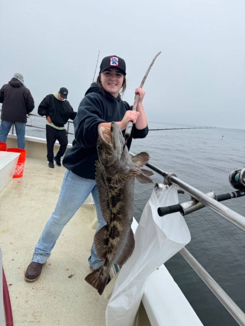 Coastal rockfish/lingcod