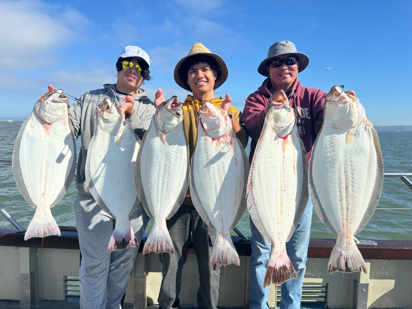 LIMITS OF HALIBUT BY 9:45am!!!