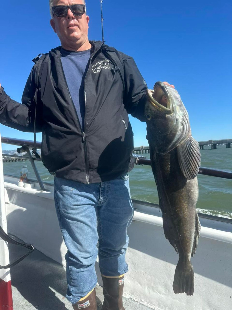 Fished along the Marin coast today