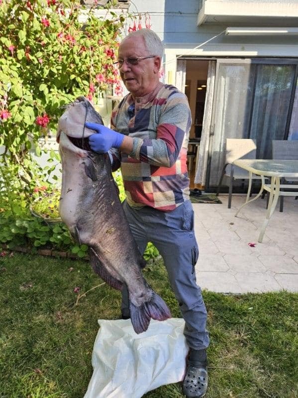 38 pound catfish at the boat launch