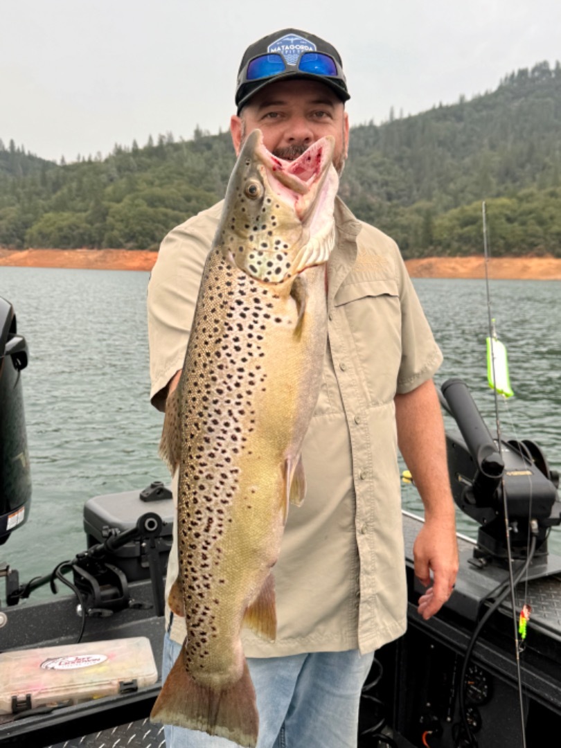 Shasta Lake Fish Report - Shasta Lake - Shasta Lake Summer Finale ...