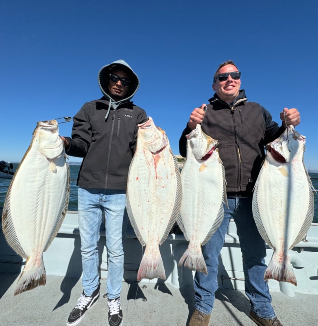 Fantastic Halibut & Bass fishing !!