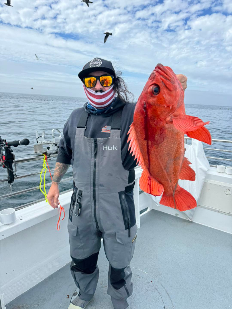 Fished the southern rockfish grounds today