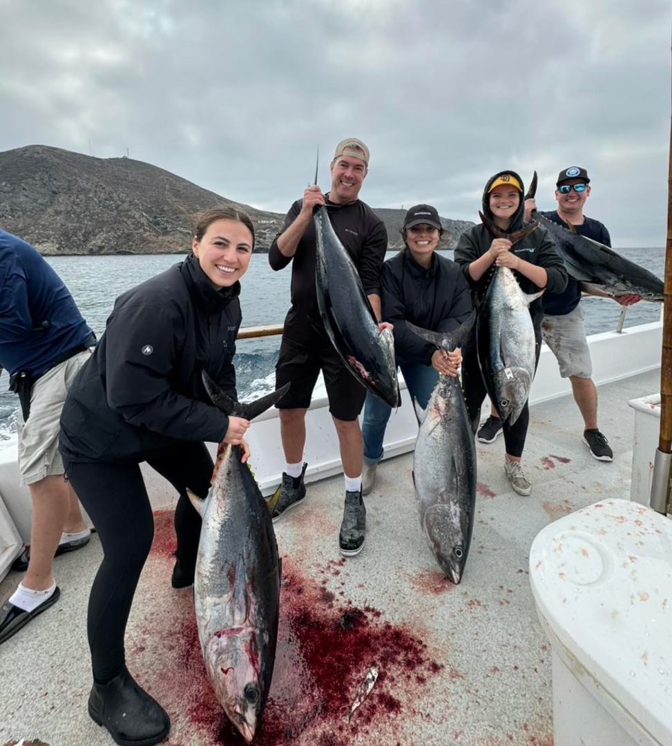 Cornado Islands Bluefin