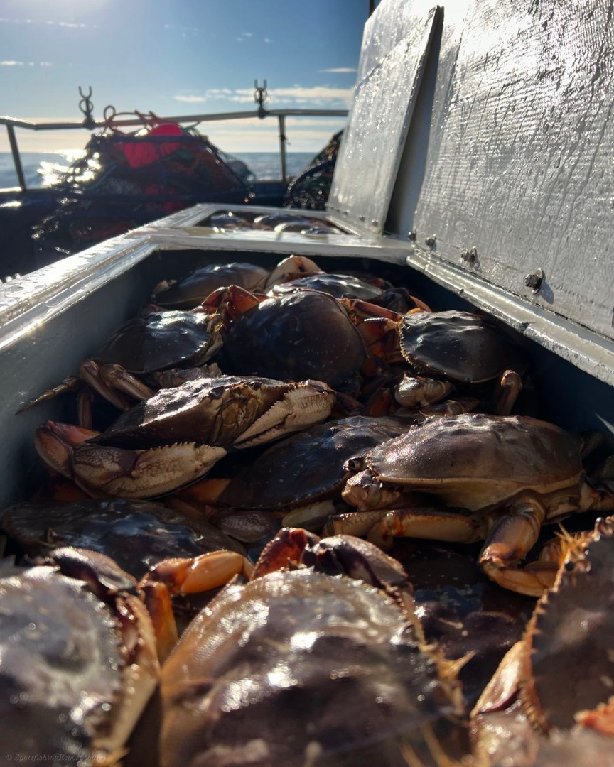 Now booking November crab combos!