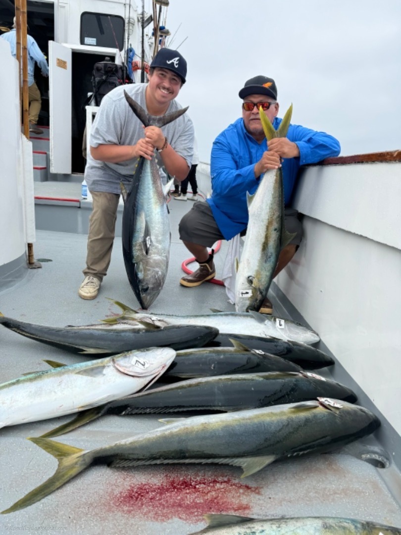 Excellent Yellowtail fishing!