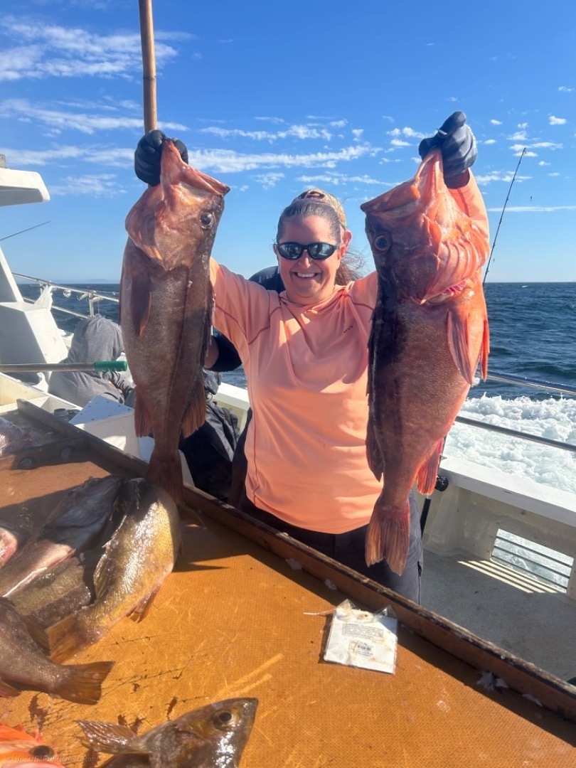 Deepwater Rockfish