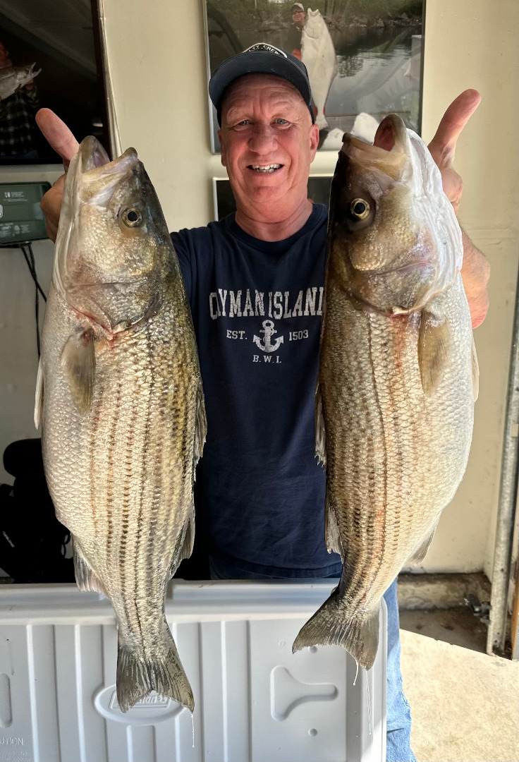 Anglers capitalizing on presence of striped bass