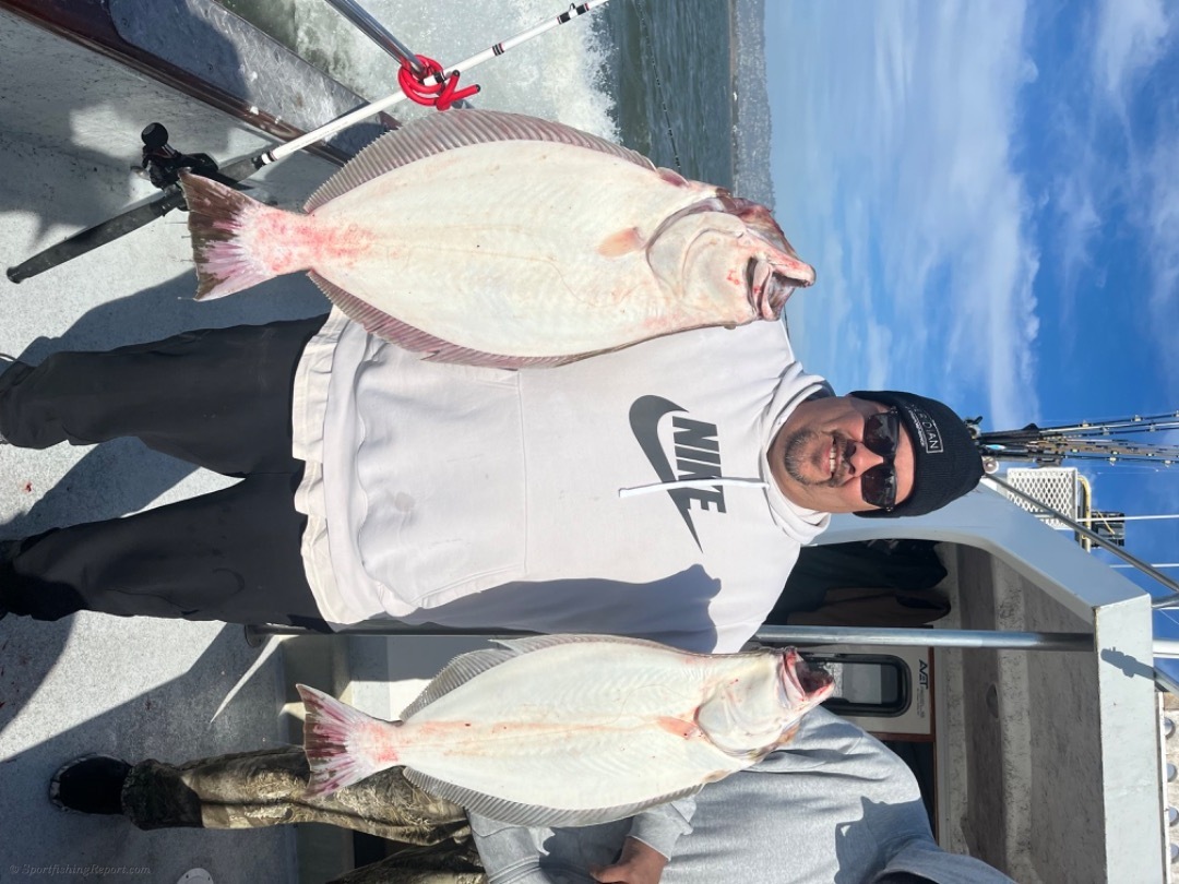 Halibut, Bass, Blue Angles