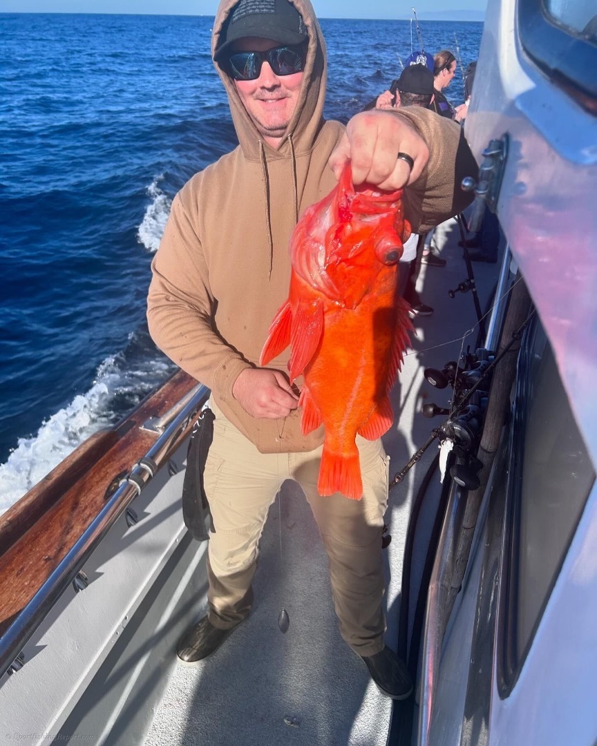 Rockfish limits